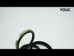 검은색 DKBI DKB 먼지 오일 봉인 수압 실린더 먼지 봉인 NBR PU 와이퍼 봉인