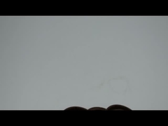 DCY DC AW3055 오일 시일 링 NBR 금속 고무 FKM 이중 스프링 오일 시일 고압